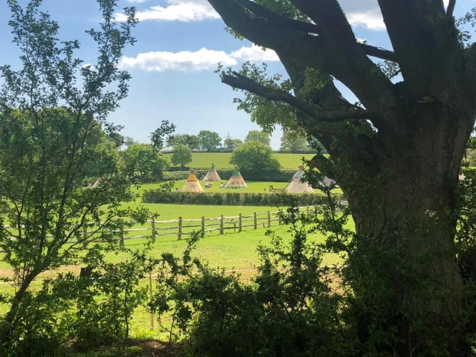 Big Sky Tipi Holidays Wartling Extérieur photo